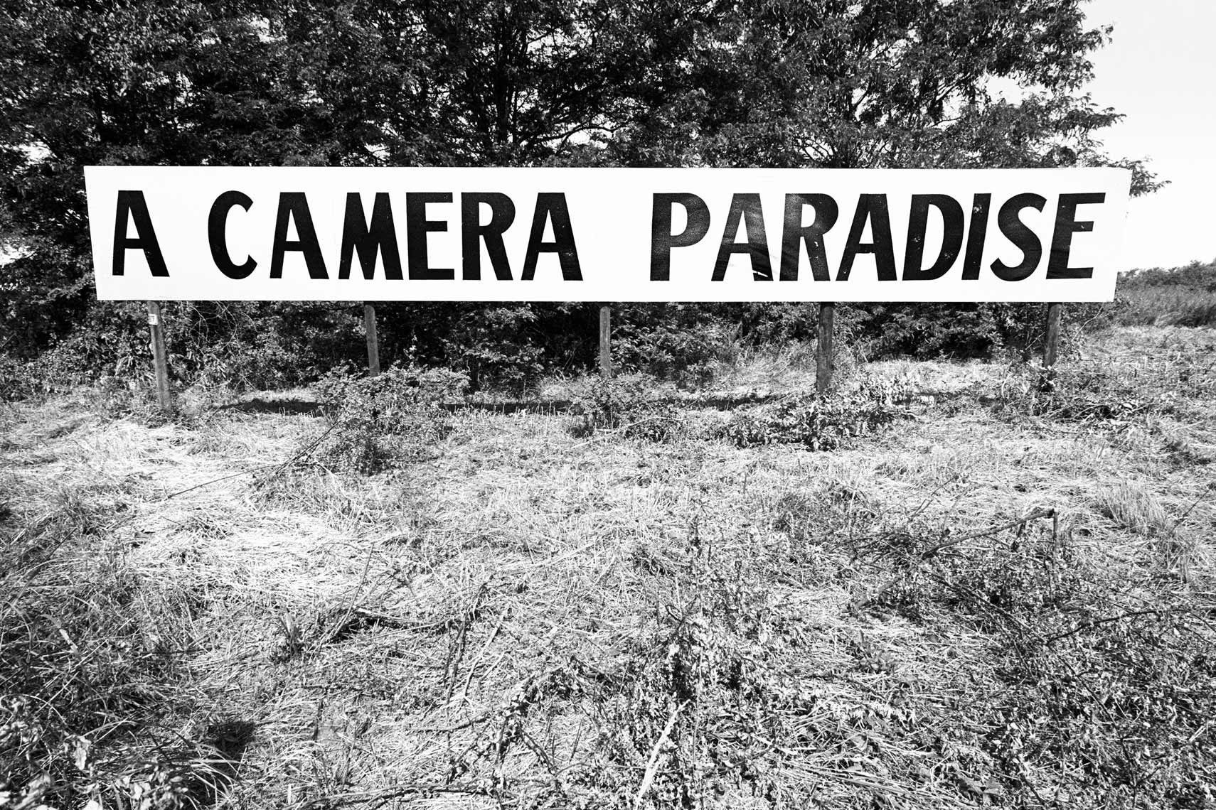 35_A_Camera_Paradise